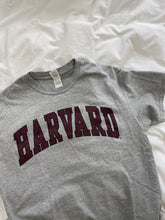 Load image into Gallery viewer, Vintage Harvard T-shirt