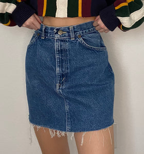 Vintage Denim Skirt